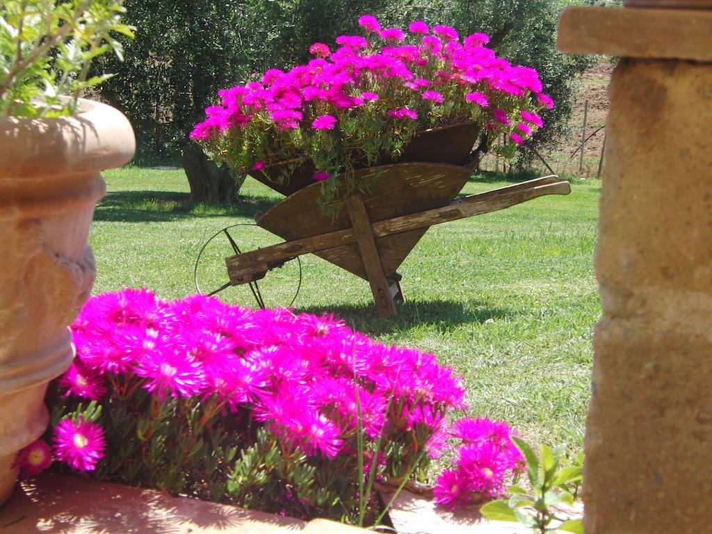 Locanda Degli Etruschi Montalto di Castro Rom bilde