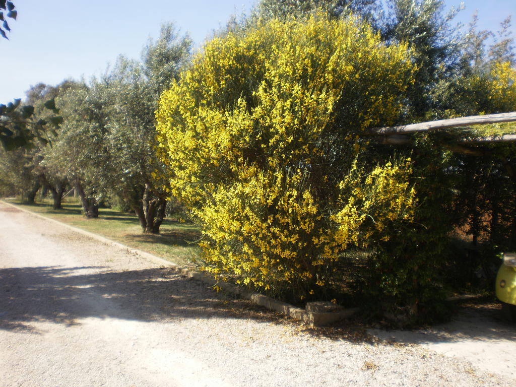Locanda Degli Etruschi Montalto di Castro Eksteriør bilde